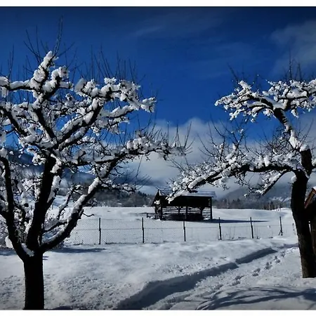 Ferienhaus Holiday Zotlar