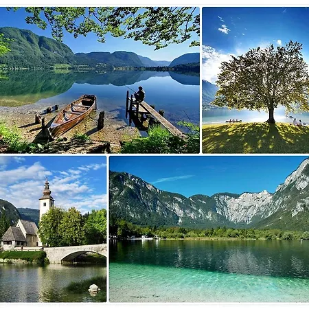 Ferienhaus Holiday Zotlar *